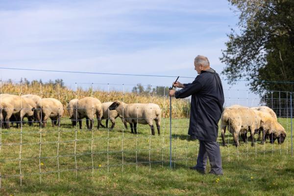 Ergänzungsset für Weidenetze WolfStop